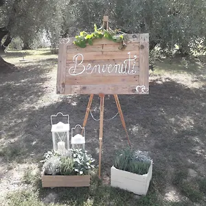 Fonteregia Appartamento